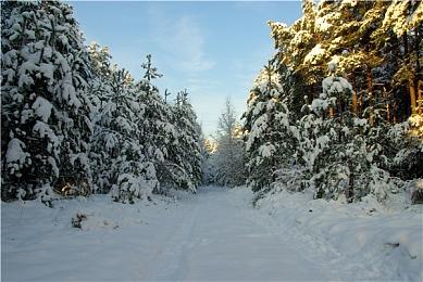 IGN评选Switch游戏TOP 25《塞尔达传说:旷野之息》第一