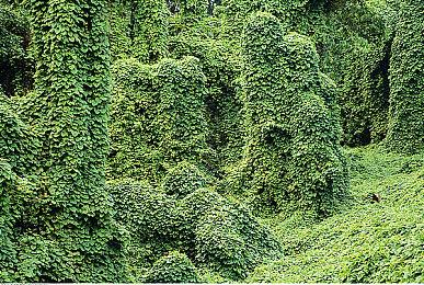 冒险游戏《萨默维尔》发售 国区售价92元